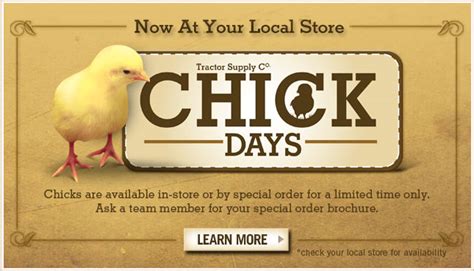 Our minimum shipping quantity for chicks is 15. . Tractor supply chicken days